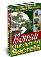 Bonsai Garden Secrets