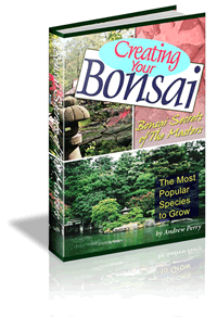 Bonsai Garden Secrets
