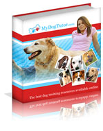 dog tutor