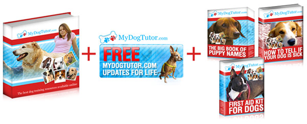dog tutor