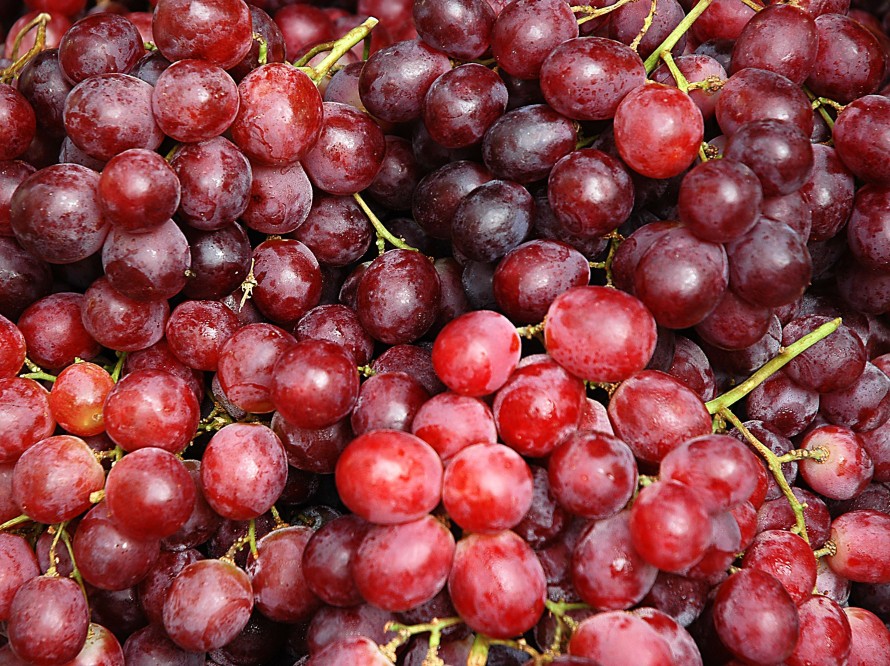 grapes into wine