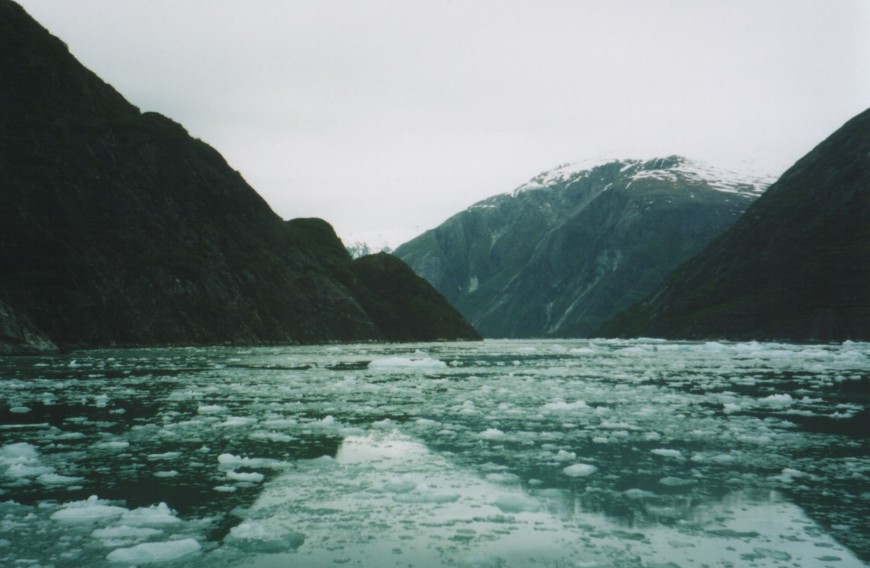Juneau humorous