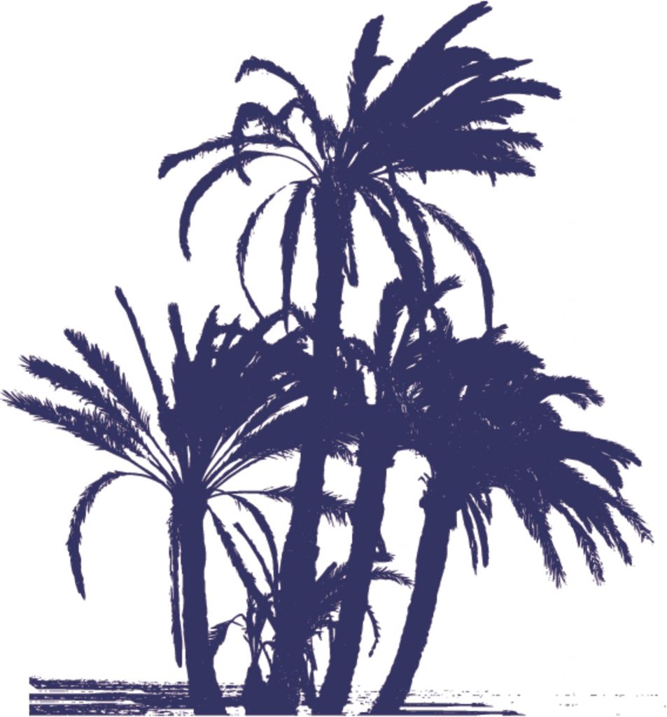 palm trees