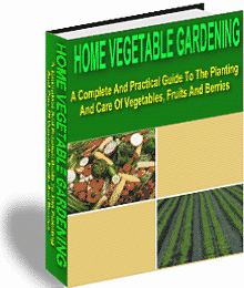 home garden