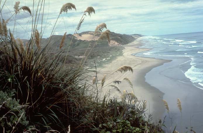 North Island, New Zealand